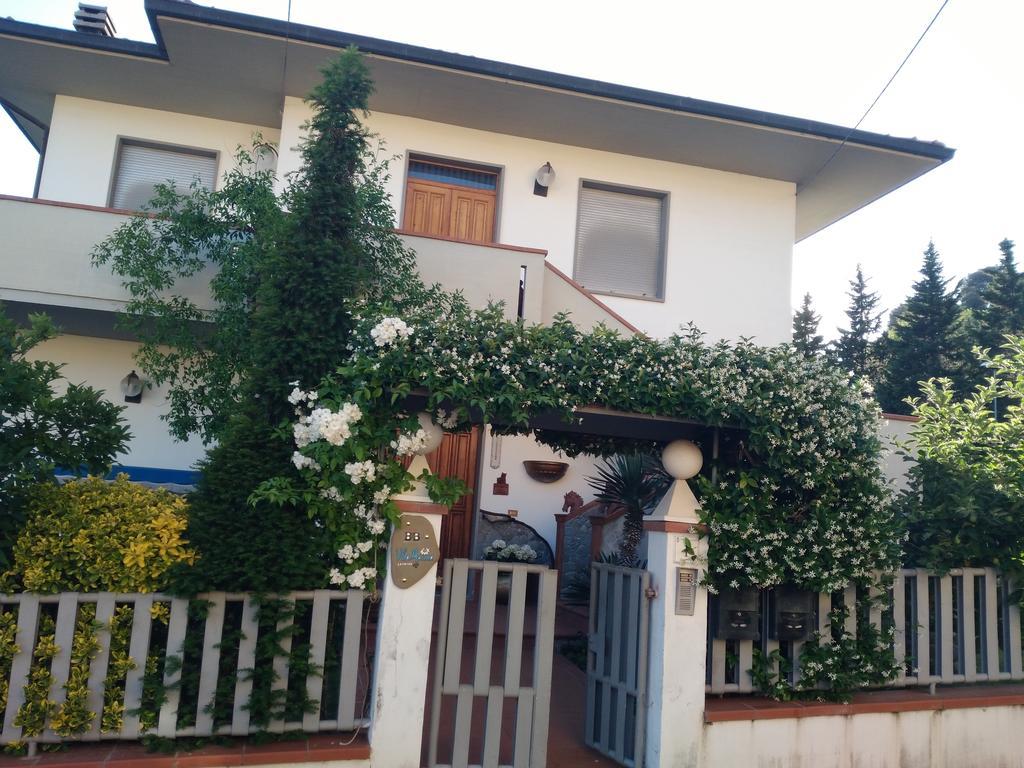 Villa Marina Laterina Zewnętrze zdjęcie